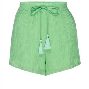 Monday Swimwear La Jolla Short in Pistachio